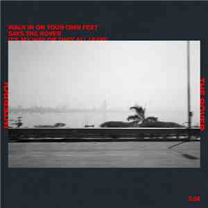 Interpol - The Rover mp3 album