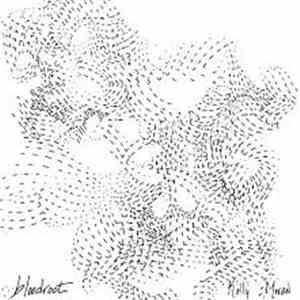 Kelly Moran - Bloodroot mp3 album
