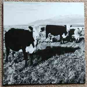 Mark Kozelek - The Finally LP mp3 album