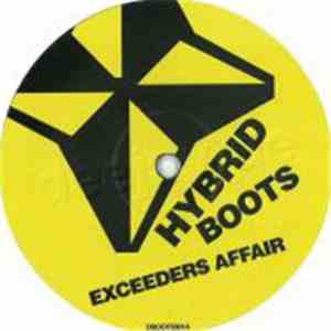 Mason VS Mary J. Blige - Exceeders Affair mp3 album
