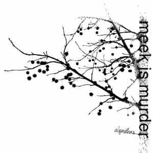 Meek Is Murder - Algorithms mp3 album