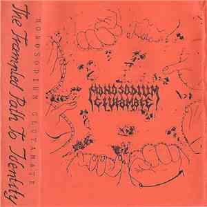 Monosodium Glutamate - The Trampled Path To Identity mp3 album