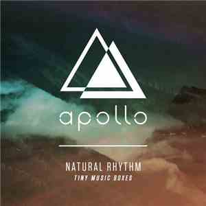 Natural Rhythm - Tiny Music Boxes mp3 album
