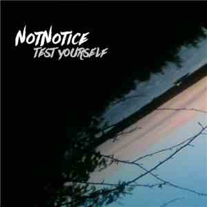 NotNotice - Test Yourself mp3 album