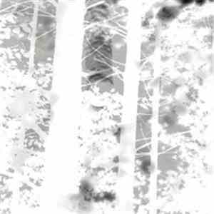 Oaks Of Bethel - Disembodied (Suite) mp3 album
