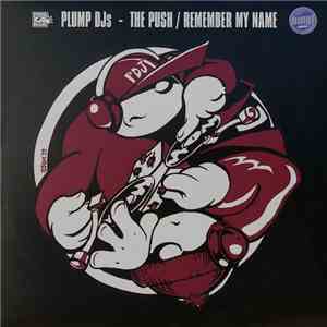 Plump DJs - The Push / Remember My Name mp3 album