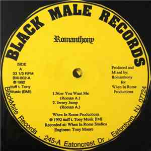 Romanthony - Now You Want Me mp3 album