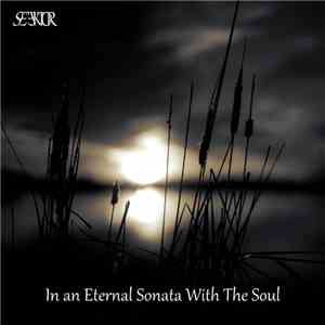 Seektor - In An Eternal Sonata With The Soul mp3 album