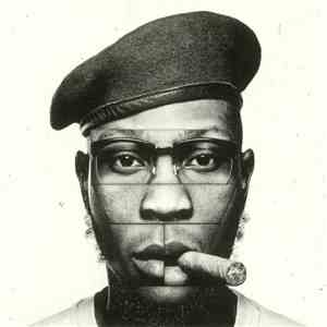 Seun Kuti & Egypt 80 - Black Times mp3 album