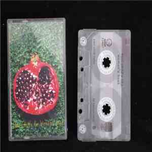 Toni Childs - The Woman's Boat mp3 album