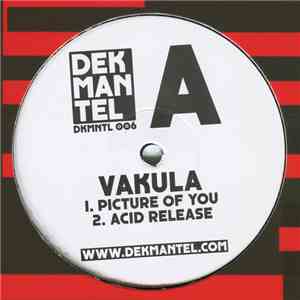 Vakula - Picture Of You mp3 album