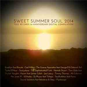 Various - Sweet Summer Soul 2014 - TGEE Records 1st Anniversary Compilation mp3 album