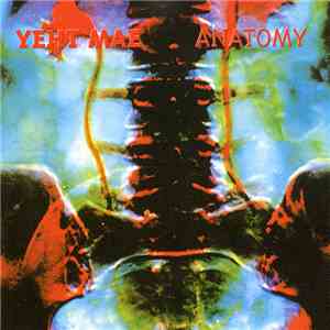 Yeht Mae - Anatomy mp3 album