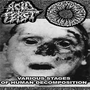 Acid Feast / Horrendous Miscreation - Various Stages Of Human Decomposition mp3 album