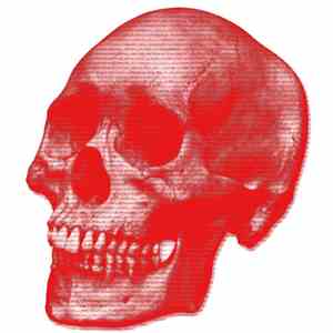 Automatic Grindcoke / Infinity Of 6 / Monological Terrorist / Wheathergirl64 - The Red Skull mp3 album