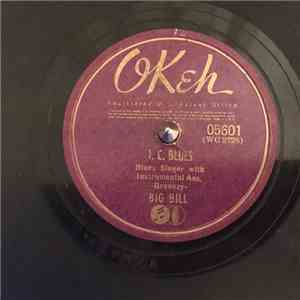Big Bill - What Is That She Got? / I. C. Blues mp3 album