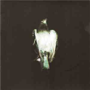 Black Shapes - In The Mourning Light mp3 album