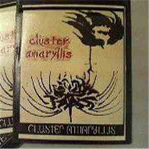 Cluster Amaryllis - 1st demo mp3 album