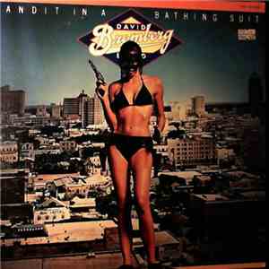 David Bromberg Band - Bandit In A Bathing Suit mp3 album