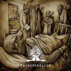 Diagnose: Lebensgefahr - Transformalin mp3 album