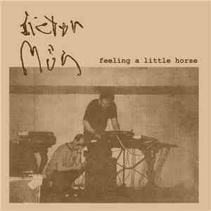 Dieter Müh - Feeling A Little Horse mp3 album