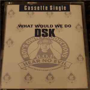 DSK - What Would We Do mp3 album