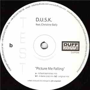 D.U.S.K. - Picture Me Falling mp3 album