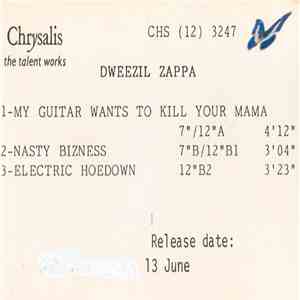 Dweezil Zappa - My Guitar Wants To Kill Your Mama mp3 album
