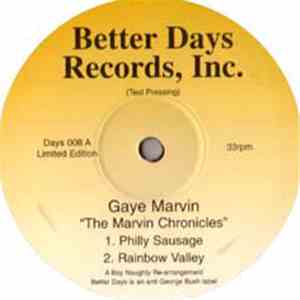 Gaye Marvin - The Marvin Chronicles mp3 album