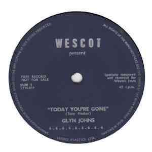 Glyn Johns - Today You're Gone mp3 album