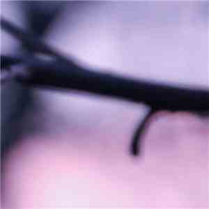 Green Eden Unit - Castle Of Ice mp3 album