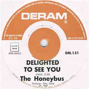 Honeybus - Delighted To See You mp3 album