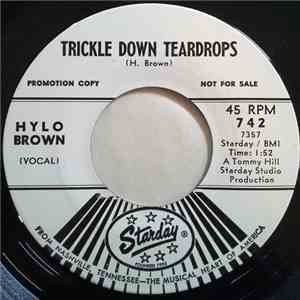 Hylo Brown - Trickle Down Teardrops / Someone To Care mp3 album