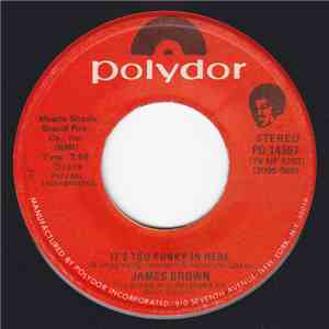 James Brown - It's Too Funky In Here / Are We Really Dancing mp3 album