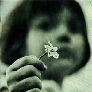 Jesse James McClear - I'll Find You mp3 album