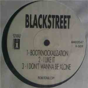 Lady Of Rage / Blackstreet - Afro Puffs / Bootknockalization / I Like It / I Don't Wanna Be Alone mp3 album