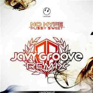 No Hype  - Pu$$y $weet (Javy Groove Remix) mp3 album