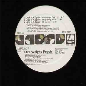 Overweight Pooch - Ace Is A Spade mp3 album