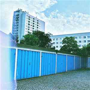 (P.A.) Bries - Arme Coltpuppl mp3 album