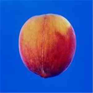 RoleModelsFromHell - Strong Peach mp3 album