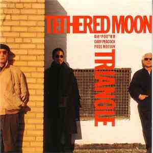 Tethered Moon - Triangle mp3 album