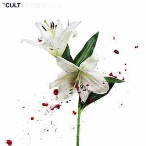 The Cult - Dark Energy mp3 album