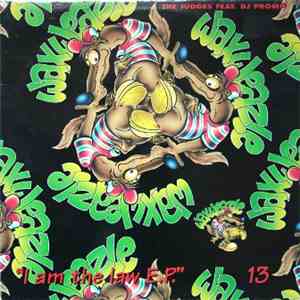 The Judges Ft DJ Promo - Feel The Vibe mp3 album
