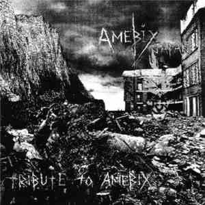 Various - Amebix Japan - Tribute To Amebix mp3 album