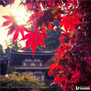 Various - Sometimes We Need To Disappear EP mp3 album