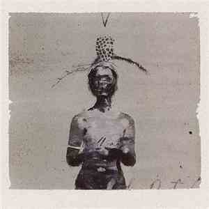 William - Surface The Vessel mp3 album