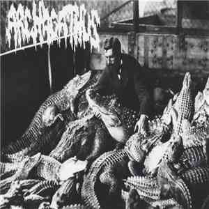Archagathus / Lt. Dan - Archagathus / Questionable Characters mp3 album