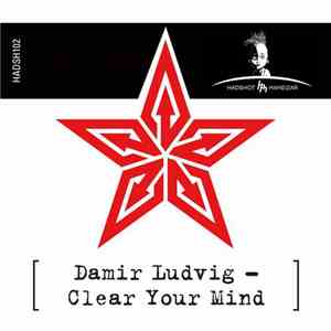 Damir Ludvig - Clear Your Mind mp3 album