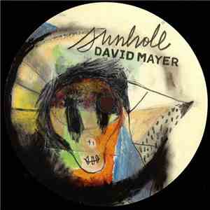 David Mayer - Sunhole mp3 album