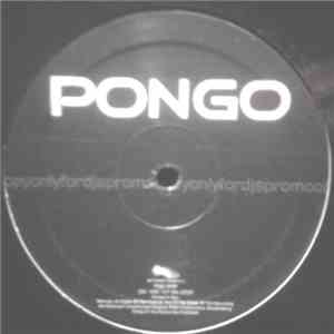Giorgio Prezioso & Libe - Pongo mp3 album